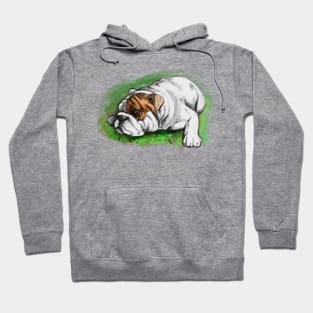 Bulldog Drawing Hoodie